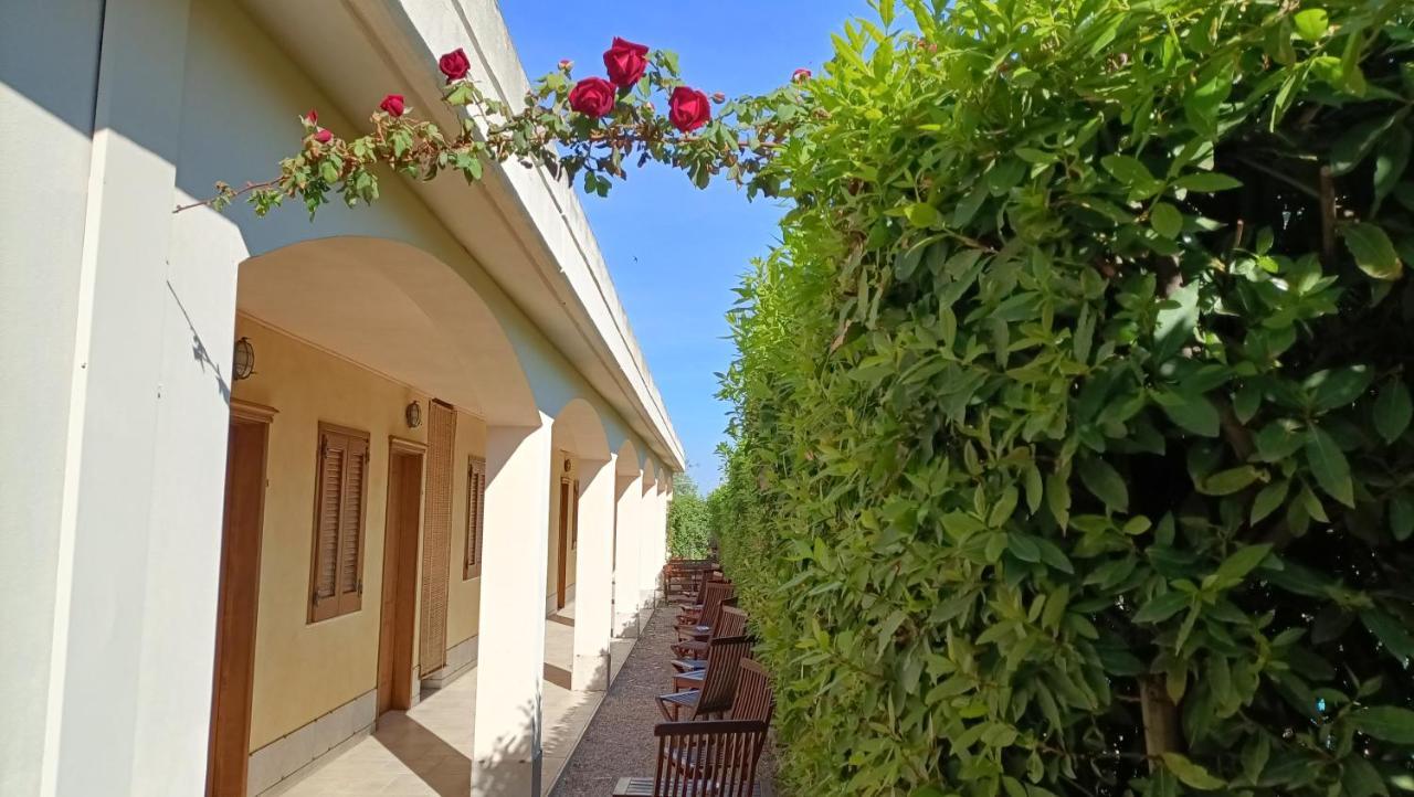 ביצ'לייה Agriturismo Le Vedute מראה חיצוני תמונה