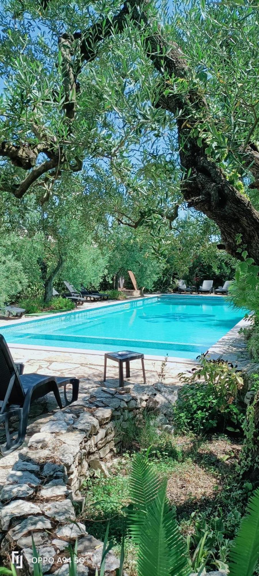 ביצ'לייה Agriturismo Le Vedute מראה חיצוני תמונה